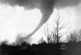 Image result for Tornado Divers