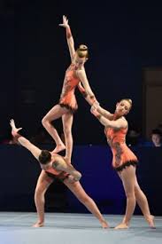 Image result for Elements Acro