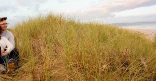 Image result for Kinmel Bay / Towyn Bowling Club