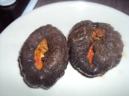 Image result for Cucumaria frondosa