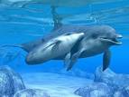 Delfines