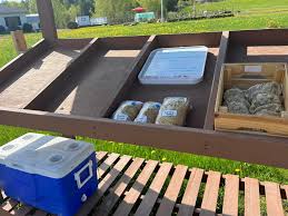 Image result for Perranporth Smbc