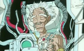 Image result for roujin z