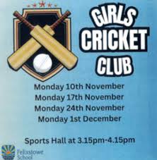 Image result for Felixstowe and Corinthians Youth Cc