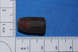 Image result for Bristol Combined Universities Bullets