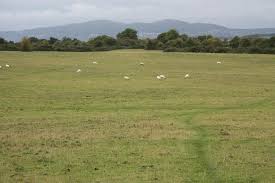 Image result for Kempsey Cc