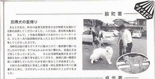 Image result for 201205.html#201205031