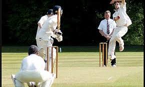 Image result for Pontypridd Cricket Club