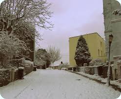 Image result for ninetree hill bristol