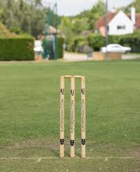 Image result for Oxshott Village Cricket Club