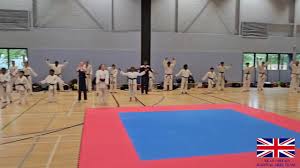 Image result for Great Britain Martial Arts Academy