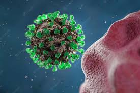 Image result for фотография вируса вич