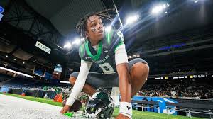 Image result for Cass Sports Northstars