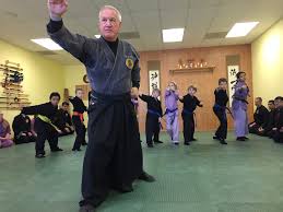 Image result for Budo Warrior Schools