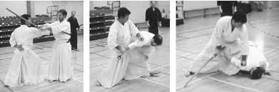 Image result for Ellis Schools of Traditional Aikido