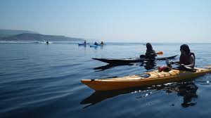 Image result for Poole Harbour Canoe Club