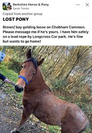 Image result for The Chobham Common Riders Association