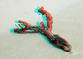 Image result for anaglyphen