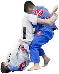 Image result for Halton BJJ & Judo Club