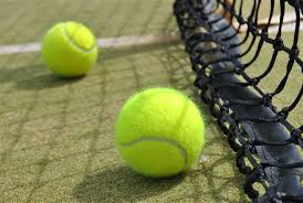 Image result for Wormit and Newport Tennis Club