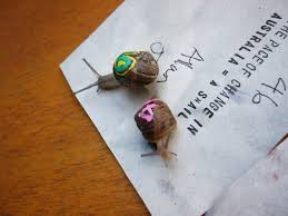Image result for World Snail Racing Championships