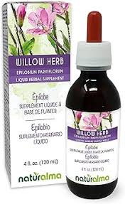 Attēlu rezultāti vaicājumam “Epilobium parviflorum”