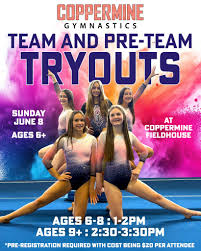 Image result for Aerodyne Gymnastics Club