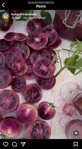 Afbeeldingsresultaat voor prudence purple tomato