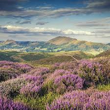 Image result for Long Mynd