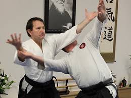 Image result for Durham City Aikikai