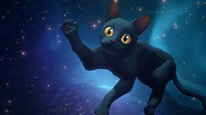 Image result for blender wallpaper