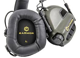 Image result for ear mod