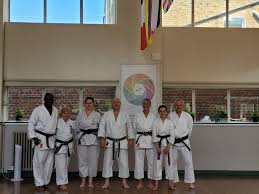 Image result for HEIWA SHOTOKAN KARATE CLUB
