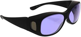 Attēlu rezultāti vaicājumam “Didymium sp.”