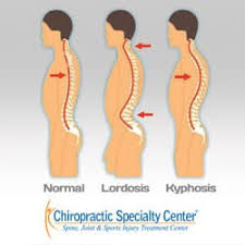 Image result for Curves