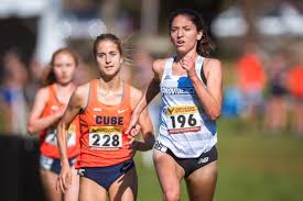 Image result for Abbey Runners