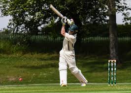 Image result for Saffron Walden Cricket Club