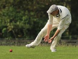 Image result for Basingstoke & North Hants Cricket Club