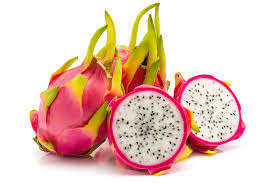 Attēlu rezultāti vaicājumam “Dracocephalum ruyschiana fruit”