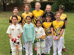 Image result for Mitcham Cricket Club