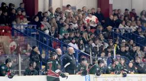 Image result for Basingstoke Bison Ice Hockey Club