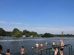 Image result for Serpentine Swimming Club
