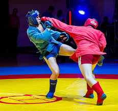 Image result for Combat Sambo