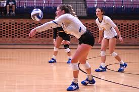 Image result for University Of Birmingham Volleyball Club