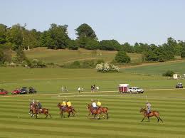 Image result for Woolmers Park Polo Club