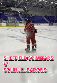 Image result for Sheffield Scimitars