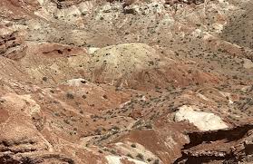 Image result for Dearne Valley Devils