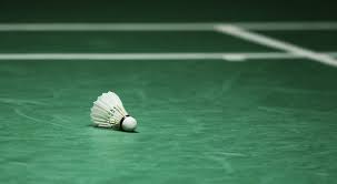 Image result for Phoenix (Rossendale) Badminton Club