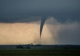 Image result for Tadcaster Tornadoes