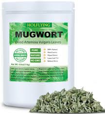 Attēlu rezultāti vaicājumam “Artemisia vulgaris leaf”